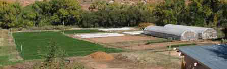 Manzana Springs vegetable farm in Moab