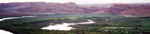 The wetlands at the Matheson Preserve in Moab