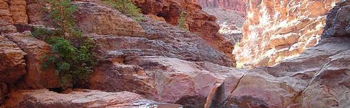 Dark Canyon waterfall and redbud tree